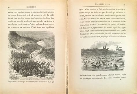 Histoire du véritable GRIBOUILLE Vignettes par Maurice Sand gravures