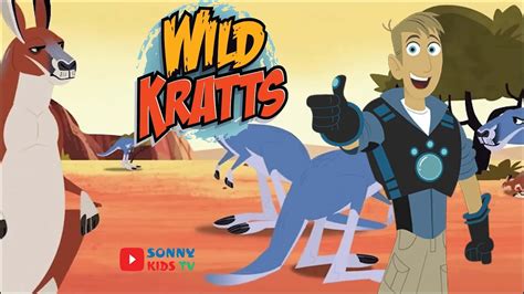 Pbskids Org Wildkratts Games Kick Boxing Kangaroo Kids Matttroy