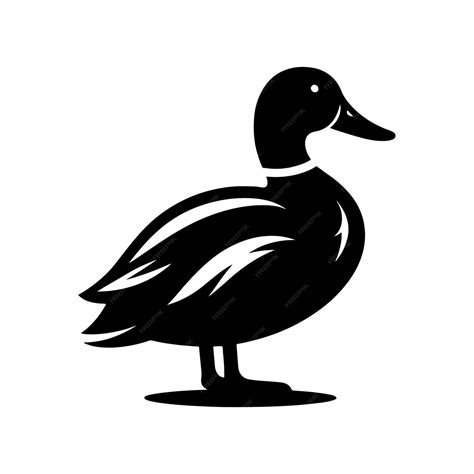Patinho Preto Desenho - Desenho vetorial de silhueta de pato preto com fundo transparente ...