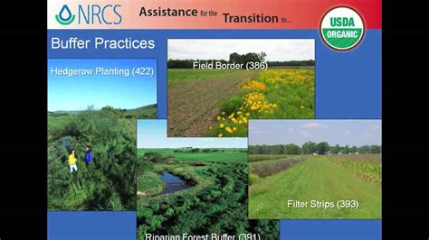 Using Nrcs Conservation Practices And Programs To Transition To Organic