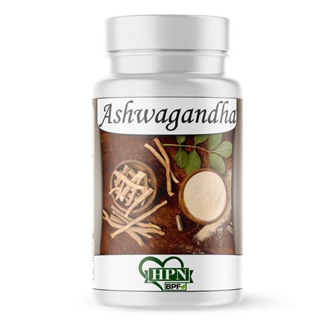 Ashwagandha Withania somnifera natural em cápsulas 500mg kit 6 potes