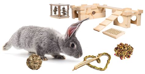 Our Premium Rabbit Supplies Small Pet Select Uk