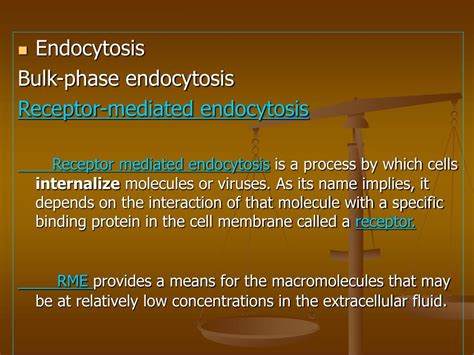 PPT - Receptor-Mediated Endocytosis PowerPoint Presentation, free download - ID:3363281