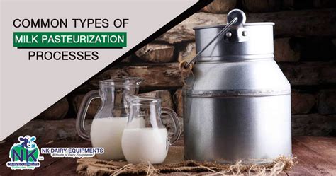 Common Types Of Milk Pasteurization Processes