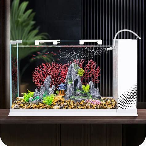 5 Minute Daily Fish Tank Maintenance Routine › Pondon Aquaruim