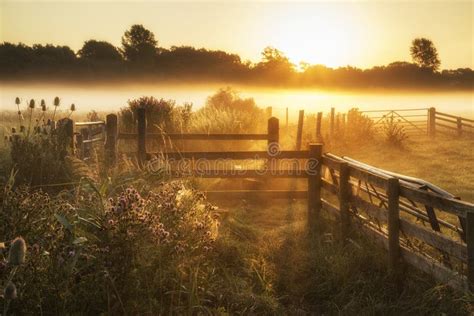 Stunning Sunrise Landscape Over Foggy English Countryside with G Stock ...