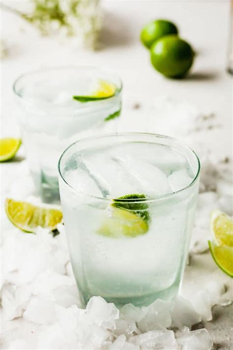 Gin and Tonic Recipe - The Live-In Kitchen