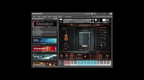 Amadeus Symphonic Orchestra Overview