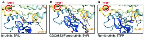 Crystal Structures Of Btk In Complex With Inhibitors Secondary