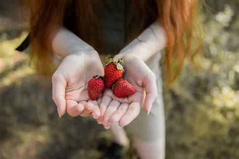 Descubre La Verdad Sobre Las Fresas Silvestres Deliciosas O Mortales