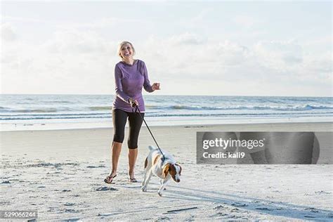 7394 Woman Walking Dog Leash Stock Photos High Res Pictures And