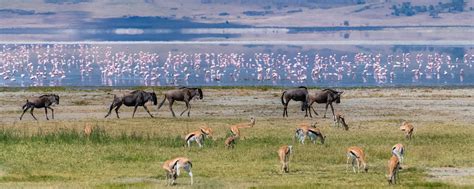 Exploring Ngorongoro Crater WOMAN S WAY