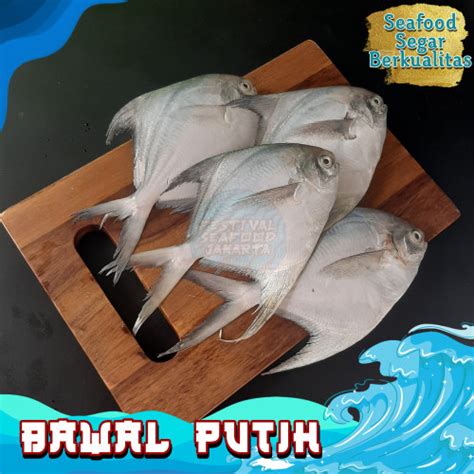 Jual Ikan Bawal Putih Segar Kg Ekor White Pomfret Bawal Laut