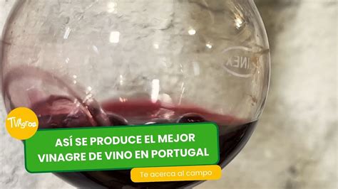 Así se produce el mejor vinagre de vino en Portugal TvAgro por Juan