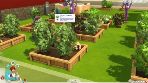 The Sims Gardening Skill Guide