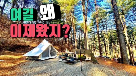 4K 포토라이tv 사이트갯수를 모름 여길 왜 이제왔나 멋진 숲속배경 생일캠핑 여기 참 좋다 캠핑장의 이상향