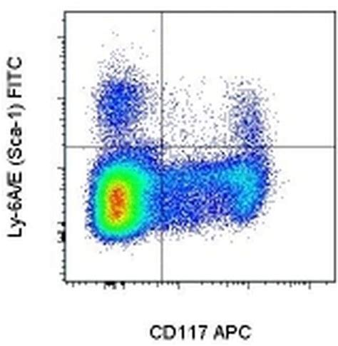 Ly 6ae Sca 1 Monoclonal Antibody D7 Fitc Ebioscience