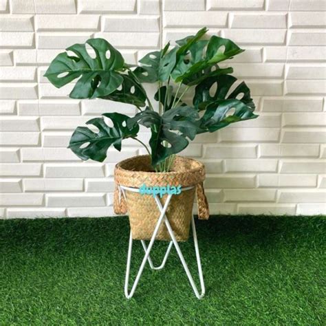 Promo Pohon Daun Monstera X Semilatex Keranjang Anyaman Purun