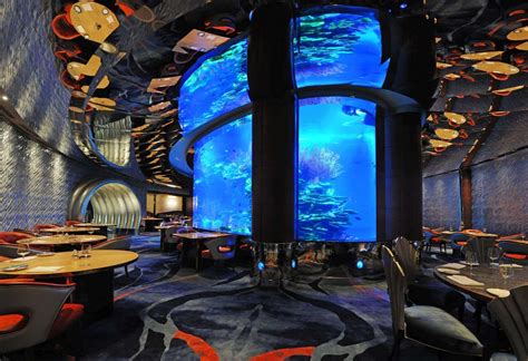 World's Best Underwater Restaurant and Bar - Live Enhanced