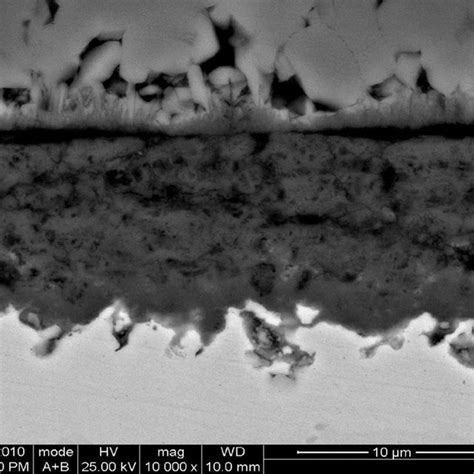 Cross Sectional Morphologies Of 316 SS Corroded At 973 K In Li Na K 2