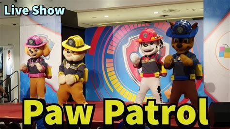 Paw Patrol Performance At City Square Mall Youtube