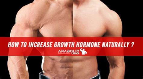 How To Increase Growth Hormone Naturally Anabolic Coach