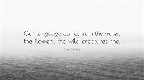 In Context The Language Of This Water 5