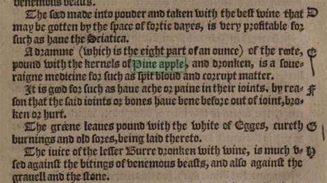 The History Of Apples In Shakespeare S Lifetime Cassidy Cash