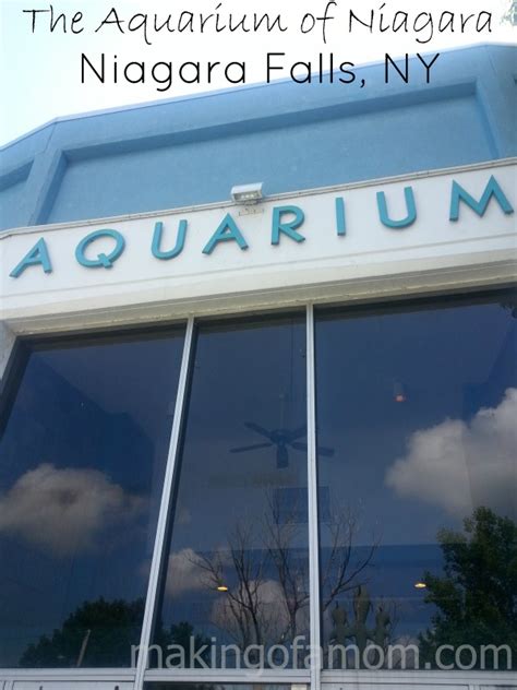 Aquarium of Niagara