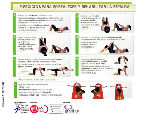 Infografía Ejercicios Para Fortalecer Y Rehabilitar La Espalda 12 07