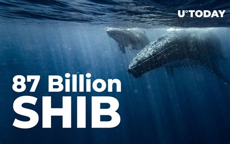 Whale Buys 87 Billion SHIB While Shiba Balance Of Top Investors Shrinks