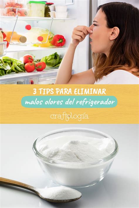 3 Tips Para Eliminar Los Malos Olores Del Refrigerador Artofit