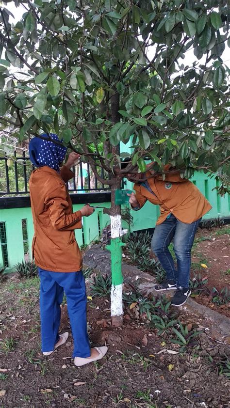 Mahasiswa Pendidikan Biologi Laksanakan Pelabelan Tanaman Di SMA N