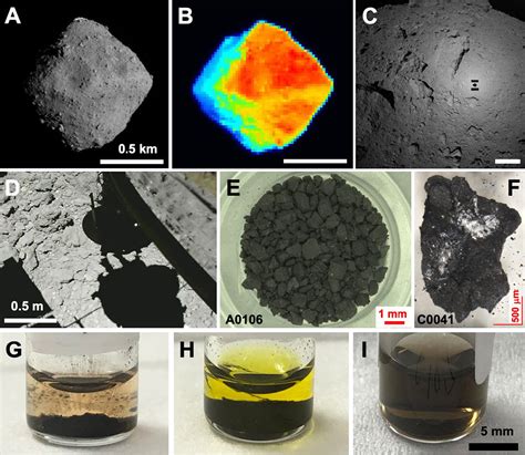 小惑星リュウグウの水に満ちた化学進化の源流と水質変成の証拠 Jamstec 海洋研究開発機構 ジャムステック