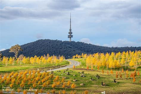 National Arboretum – Canberra | kayakcameraman