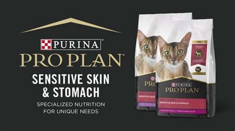 Purina Pro Plan Sensitive Skin And Stomach Lamb Rice Dry Cat Food 22