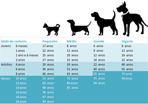 Mitos e verdades sobre cães e gatos