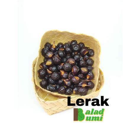 Jual Buah Lerak Sabun Organik 500 Gram Shopee Indonesia