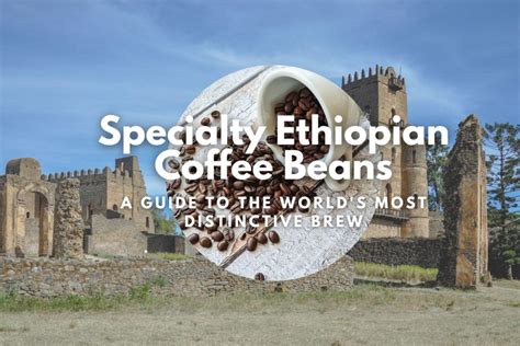 Specialty Ethiopian Coffee Beans: A Guide to the World's Most Distinctive Brew - Helena Coffee ...