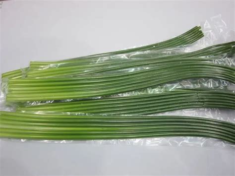 New Crop Of Garlic Stem Garlic Sprout - Buy Garlic Stem,Garlic Sprout,China Garlic Sprout ...