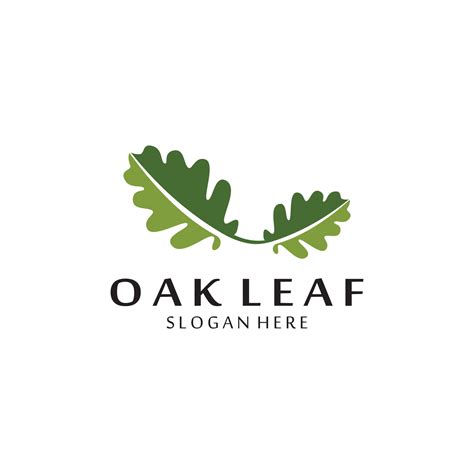 Vector Oak Leaf Logo Design 21870379 Vector Art At Vecteezy