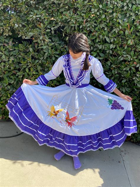 Aguascalientes Tipical Mexican Dress For Girl Mexican Dress Etsy