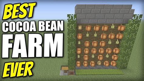 Cocoa Bean Farm Minecraft 1.16 - leadsgenerationmarketing