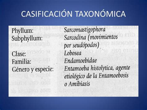 CasificaciÓn TaxonÓmica Entamoeba Histolytica Amebiasis Intestinal Y Extraintestinal Amebiasis