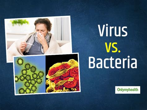 Difference Between Bacteria And Virus Difference Between Images