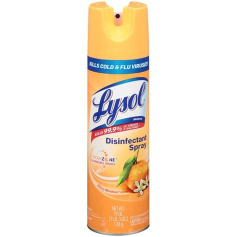 Lysol Citrus Meadows Scent Disinfectant Spray Obx Grocery Delivery Seafood Boil And More