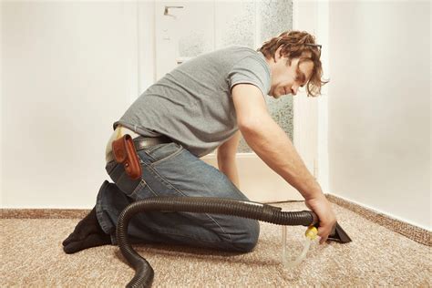 How Carpet Restoration Differs From A Routine Cleaning Masterclean