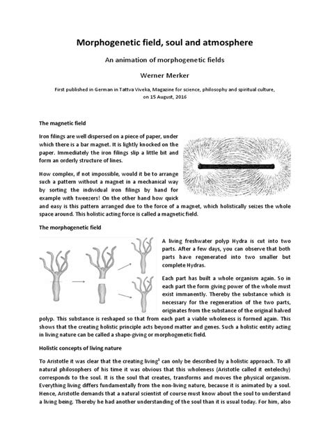 morphogenetic field soul  atmosphere  animation  morphogenetic