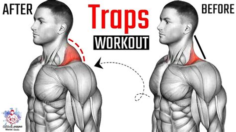 7 BEST EXERCISE TRAPS WORKOUT 🔥 - YouTube