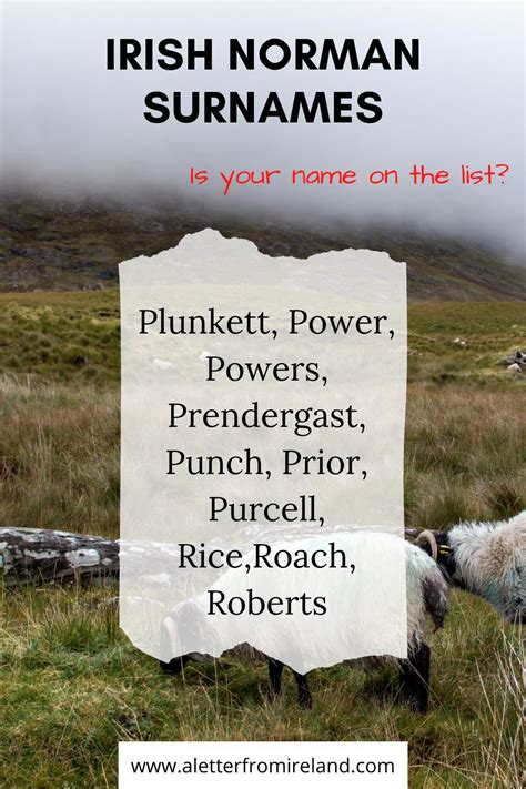 The irish norman surnames of your irish heritage – Artofit